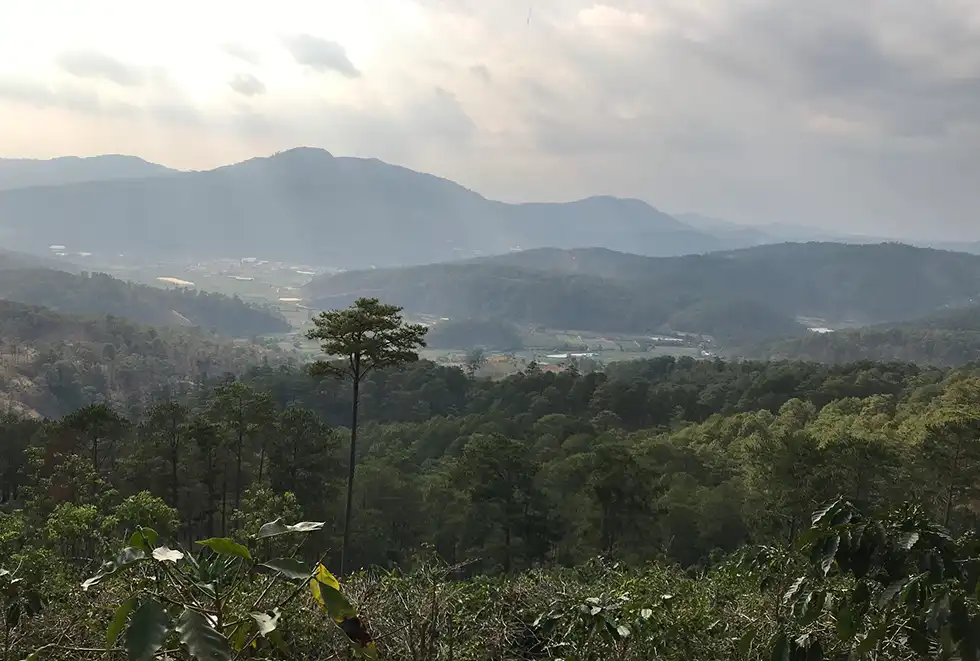 記事のサムネイル