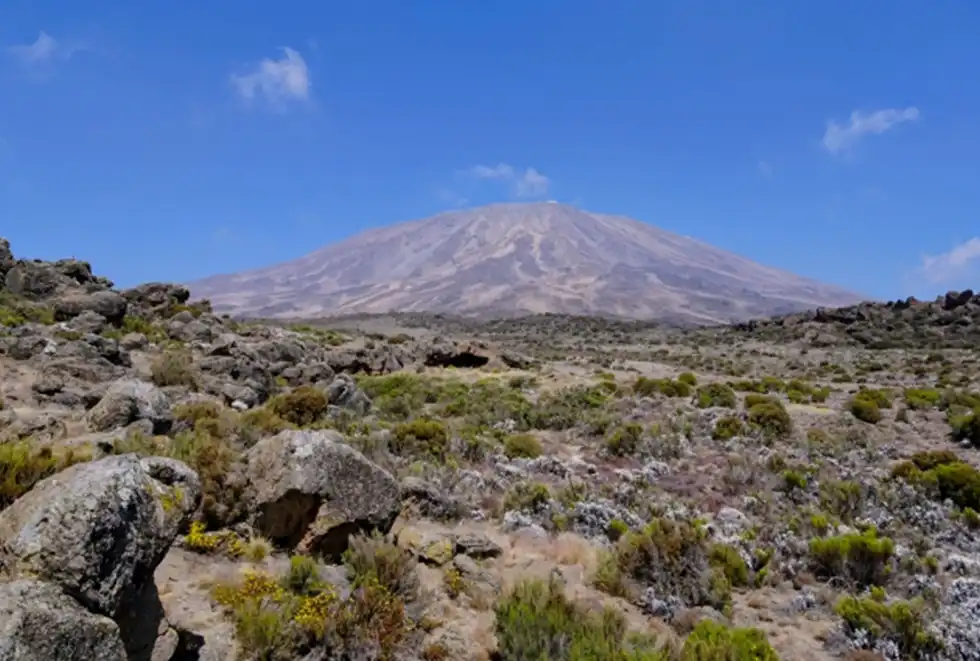 記事のサムネイル